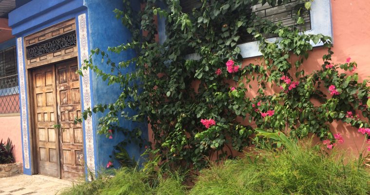 Island of Flowers: Isla Taboga