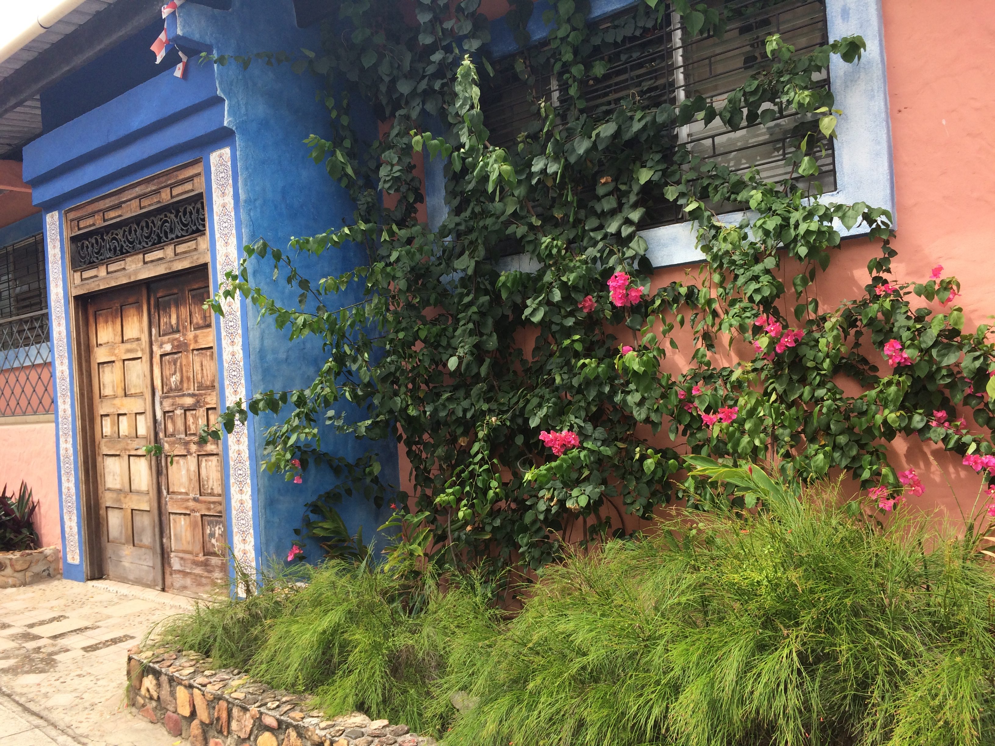 Island of Flowers: Isla Taboga